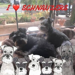 Meet your Posher, Jen